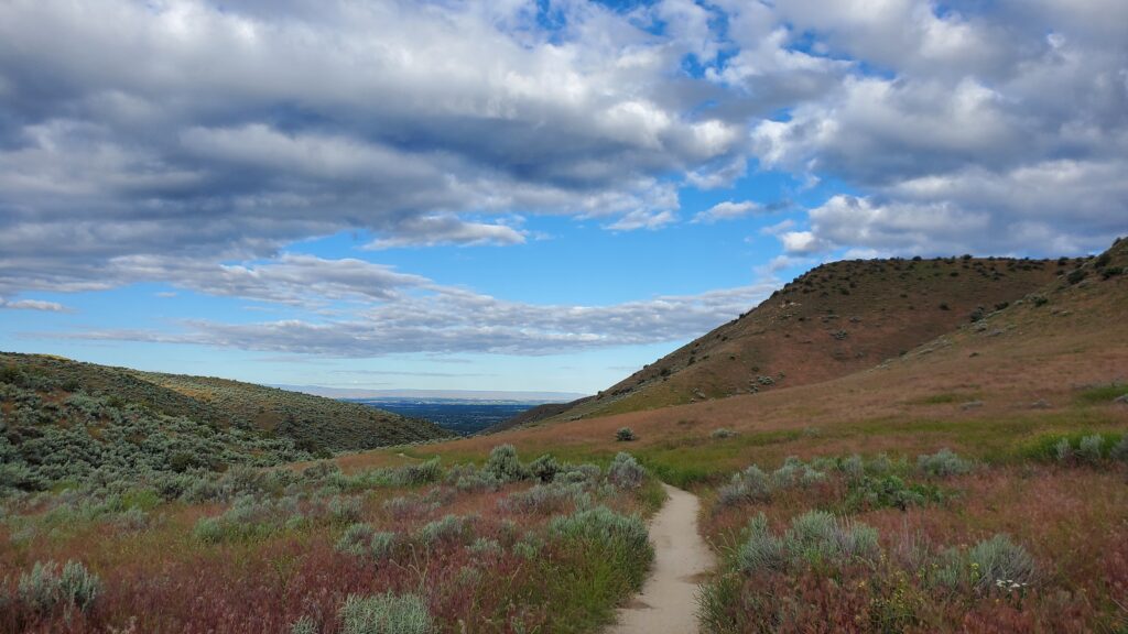 20220620 081023 20220620 081023