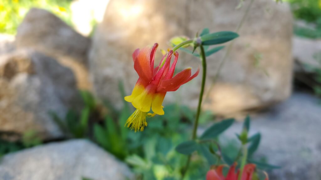 20220727 100830 20220727 100830