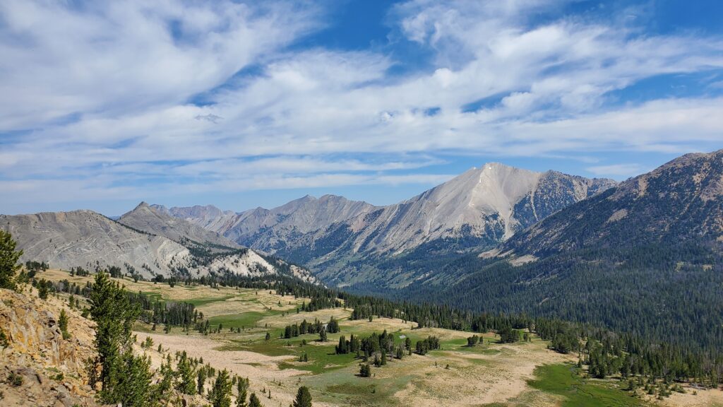 20220727 110832 20220727 110832