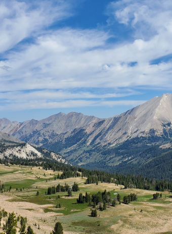 untitled design (1)